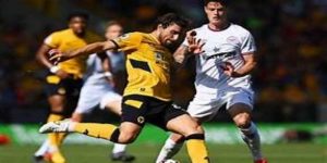 新赛季展望与球迷期待-AG真人